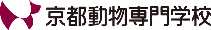 京都動物専門学校