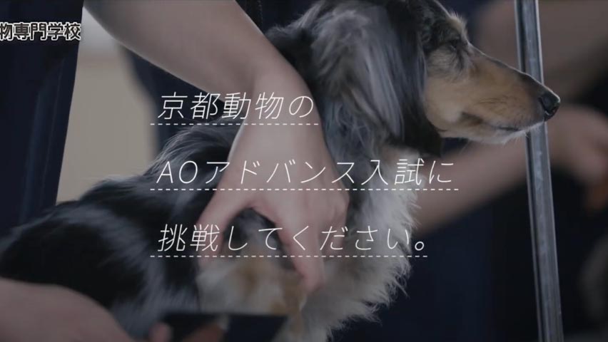 京都動物専門学校 で目指す人材像