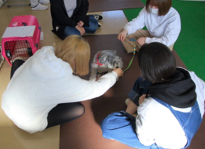 ドッグトレーニング演習（その2） 【公式HP】京都動物専門学校