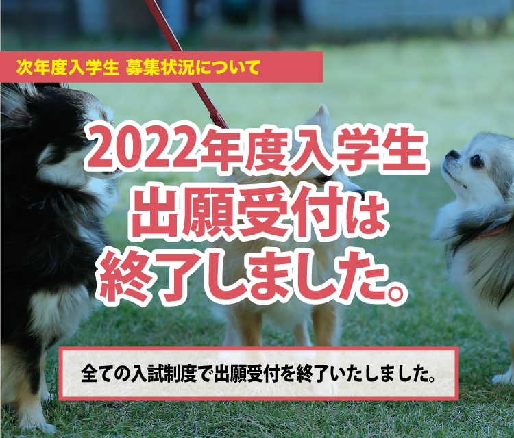 京都動物専門学校 公式hp トリマー 動物看護師 ショップスタッフ