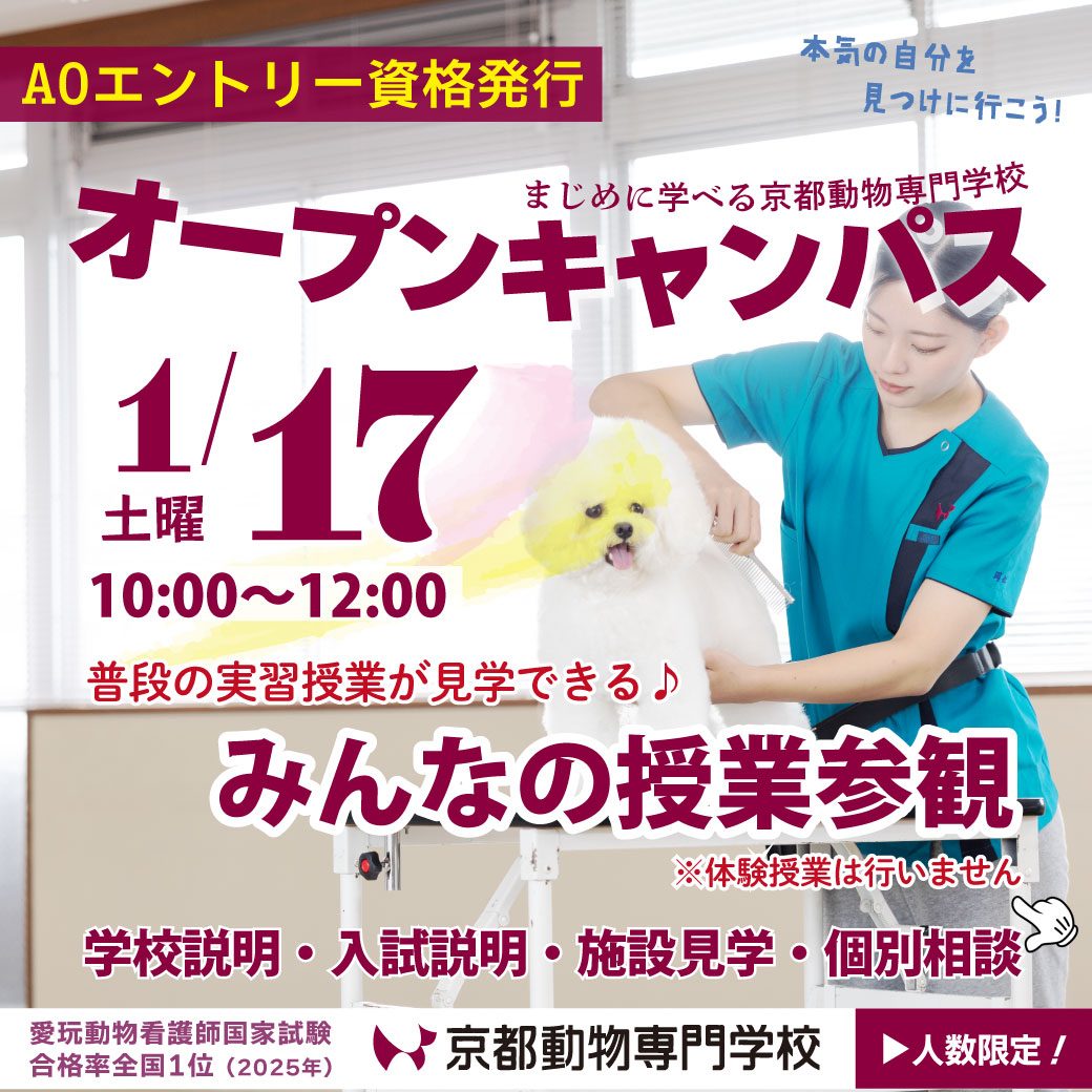 AOエントリー資格証を発行します！