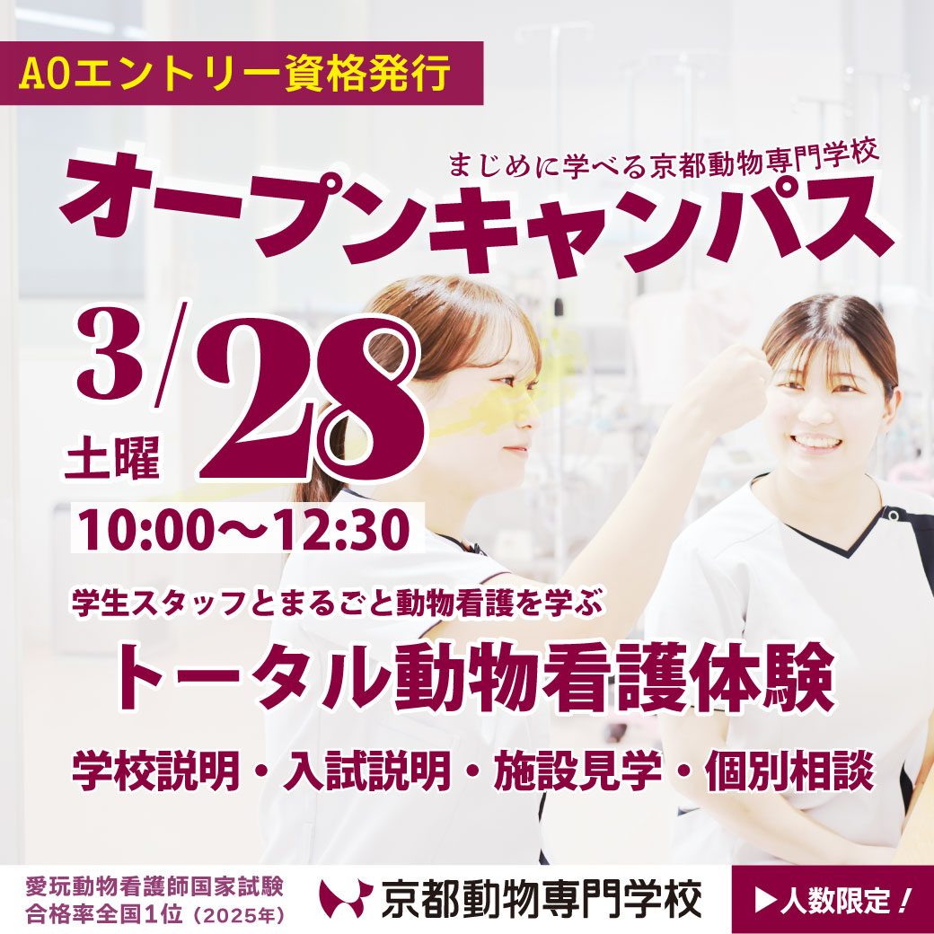 ２年連続 国家試験合格率100％