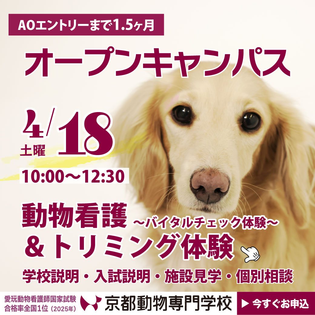 ２年連続 国家試験合格率100％