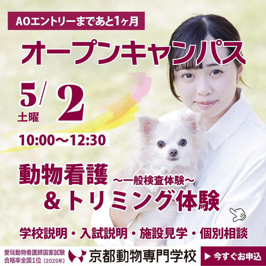 ２年連続 国家試験合格率100％