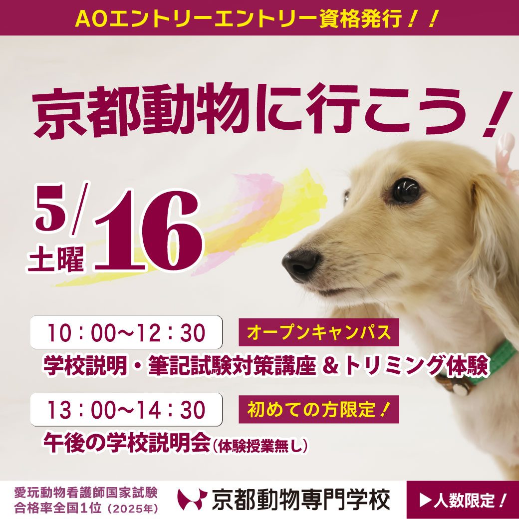 トリマーを目指すあなたのために