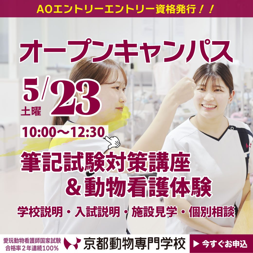 11:30から対策講座のみのイベントもあります