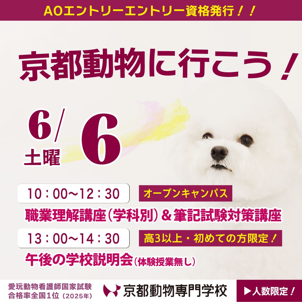 11:30から対策講座のみのイベントもあります