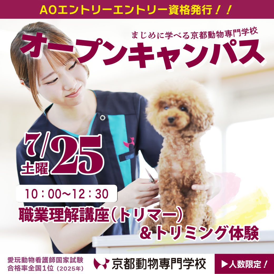 トリマーになりたい方は絶対にどうぞ！