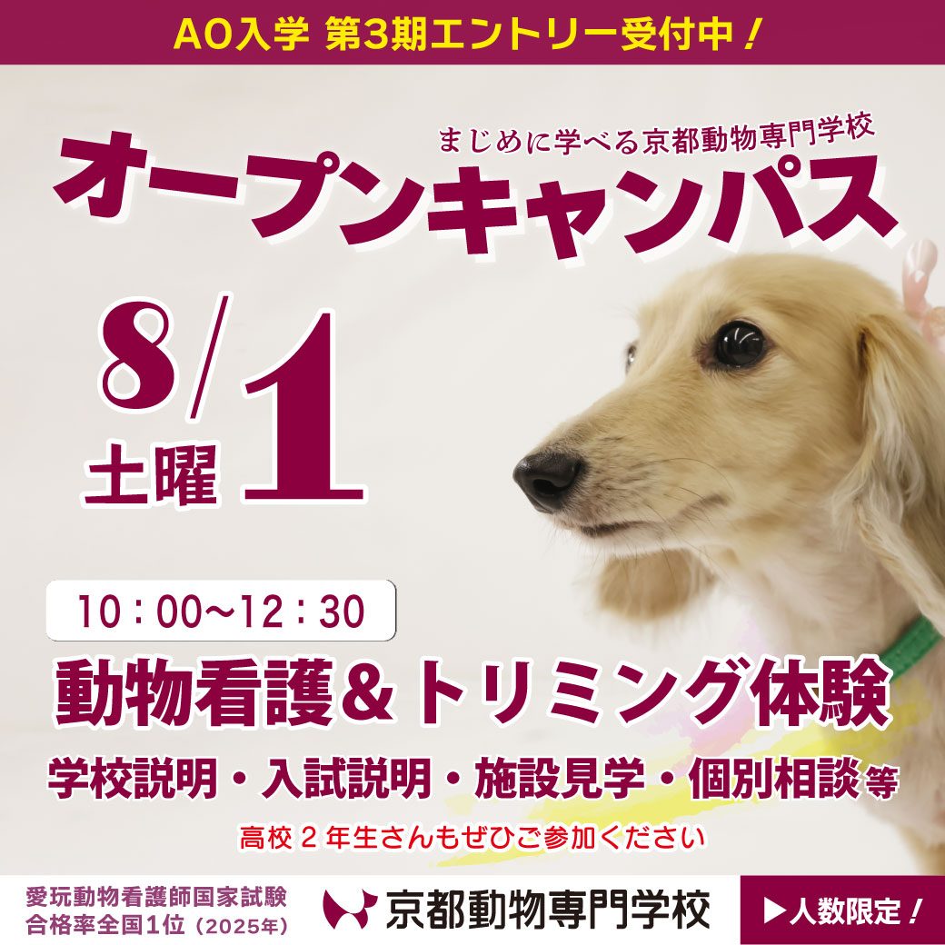 残席わずか！高校2年生さんはここからどうぞ！