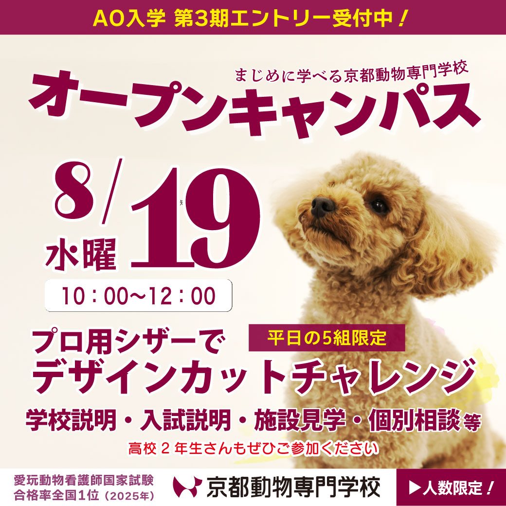 残席わずか！5組限定です！