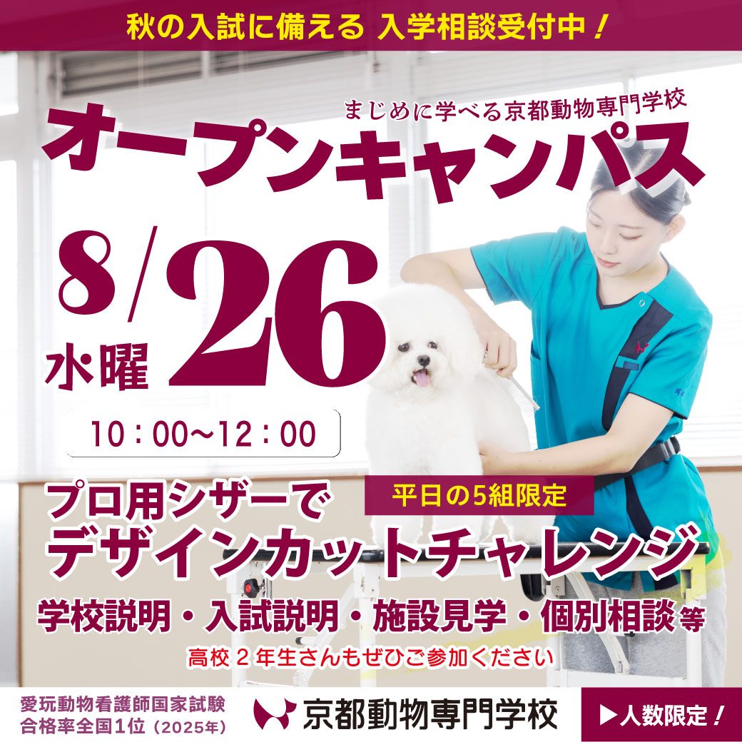 残席わずか！5組限定です！