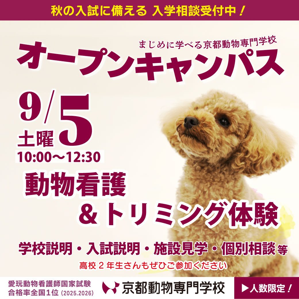 20組限定です。今すぐお申し込みを