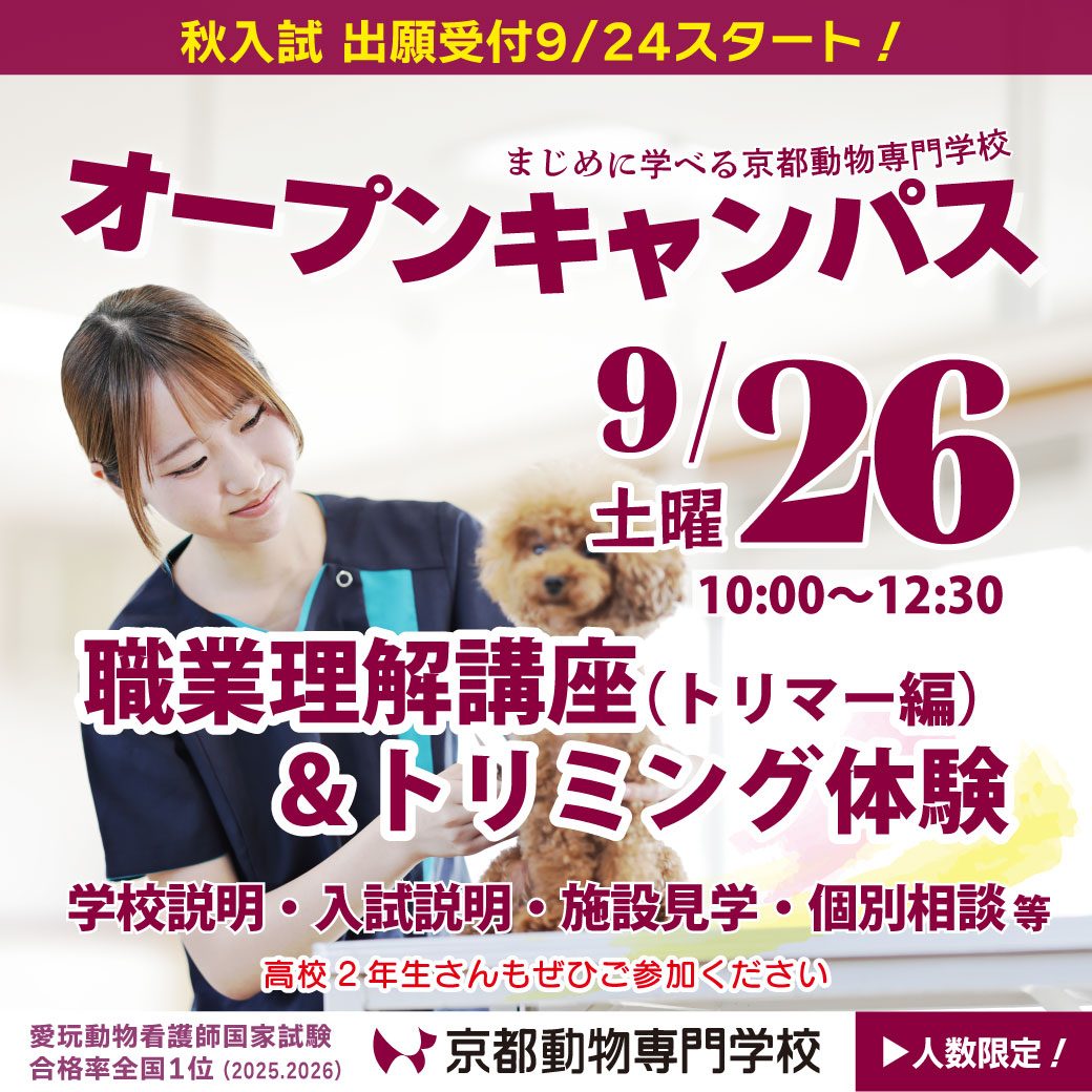 20組限定です。今すぐお申し込みを