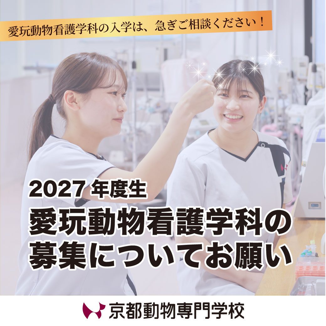 愛玩動物看護学科についてお知らせ