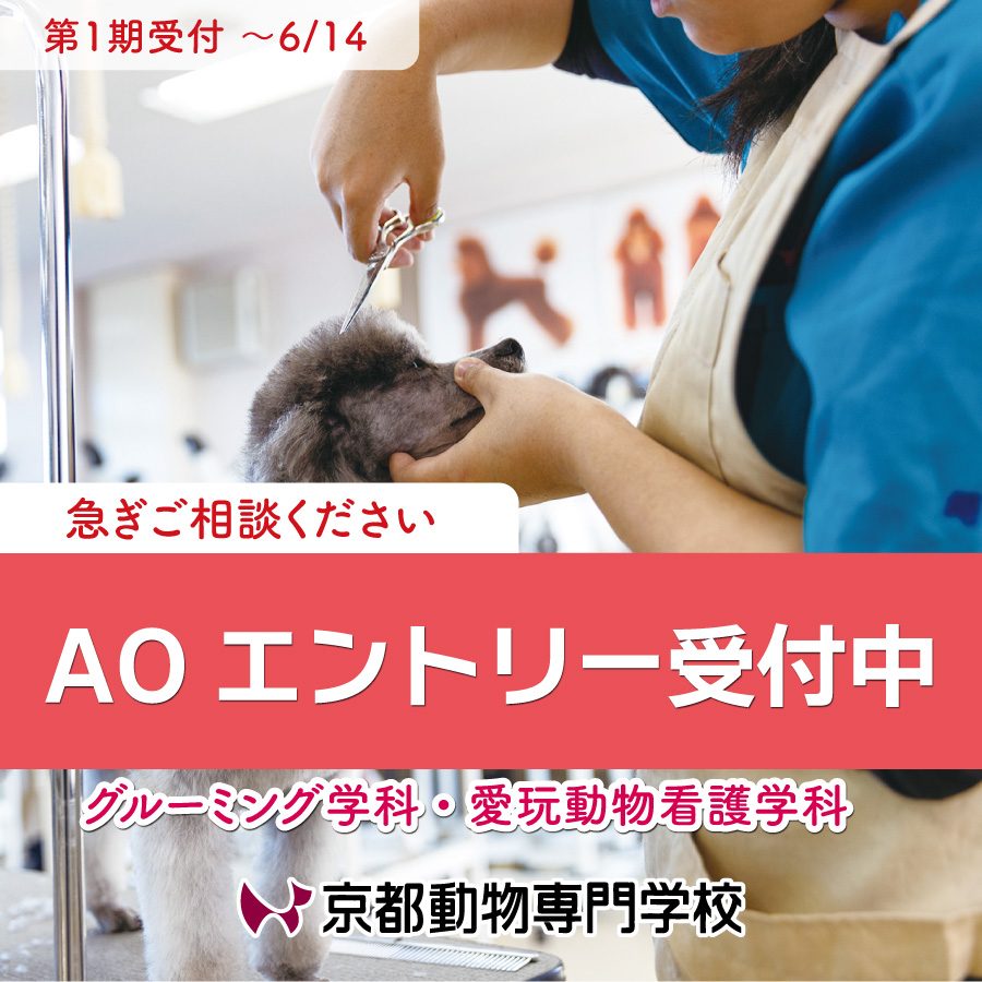 緊急開催決定！