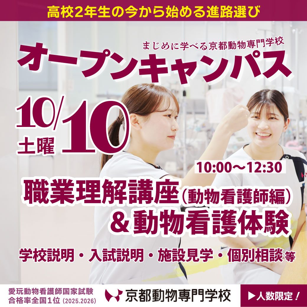 20組限定です。今すぐお申し込みを