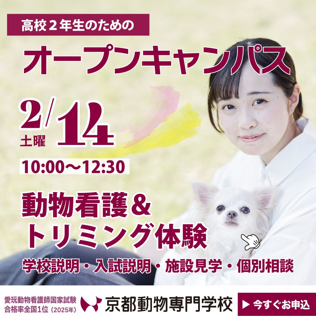 高校2年生のためのオーキャン開催！