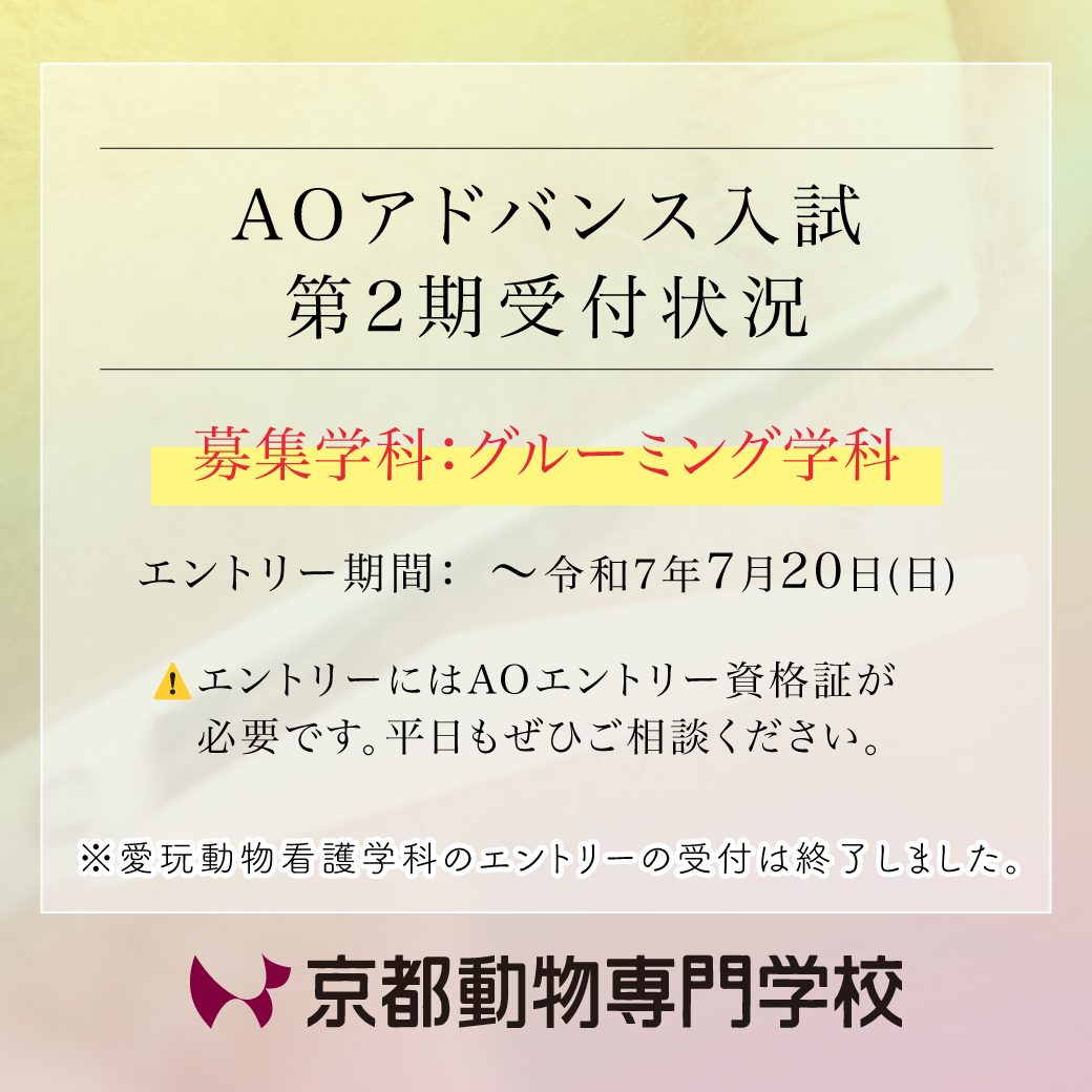 2026年度生の募集状況について