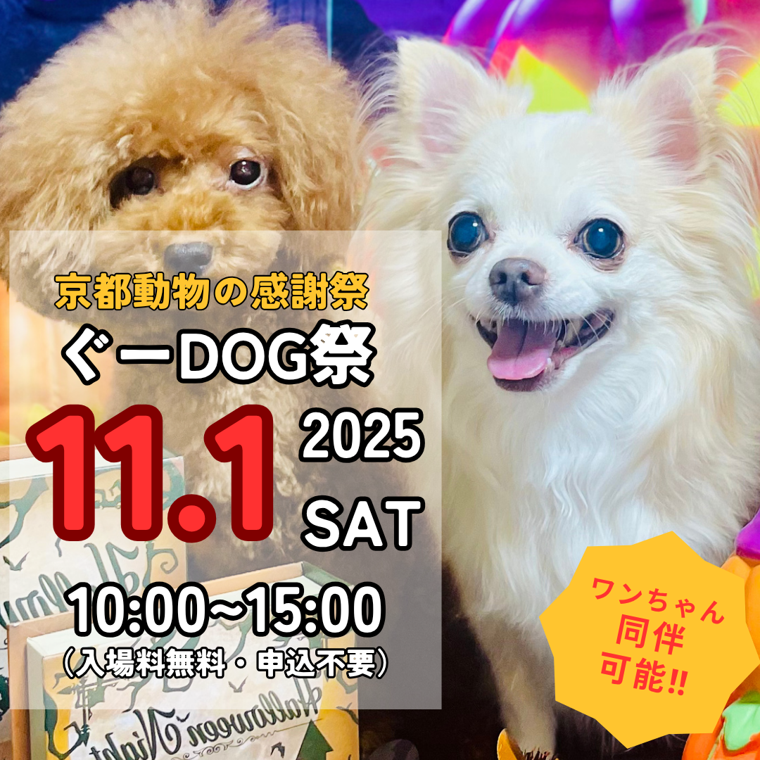 11/1(土)　京都動物の感謝祭「ぐーDOG祭」を開催します！