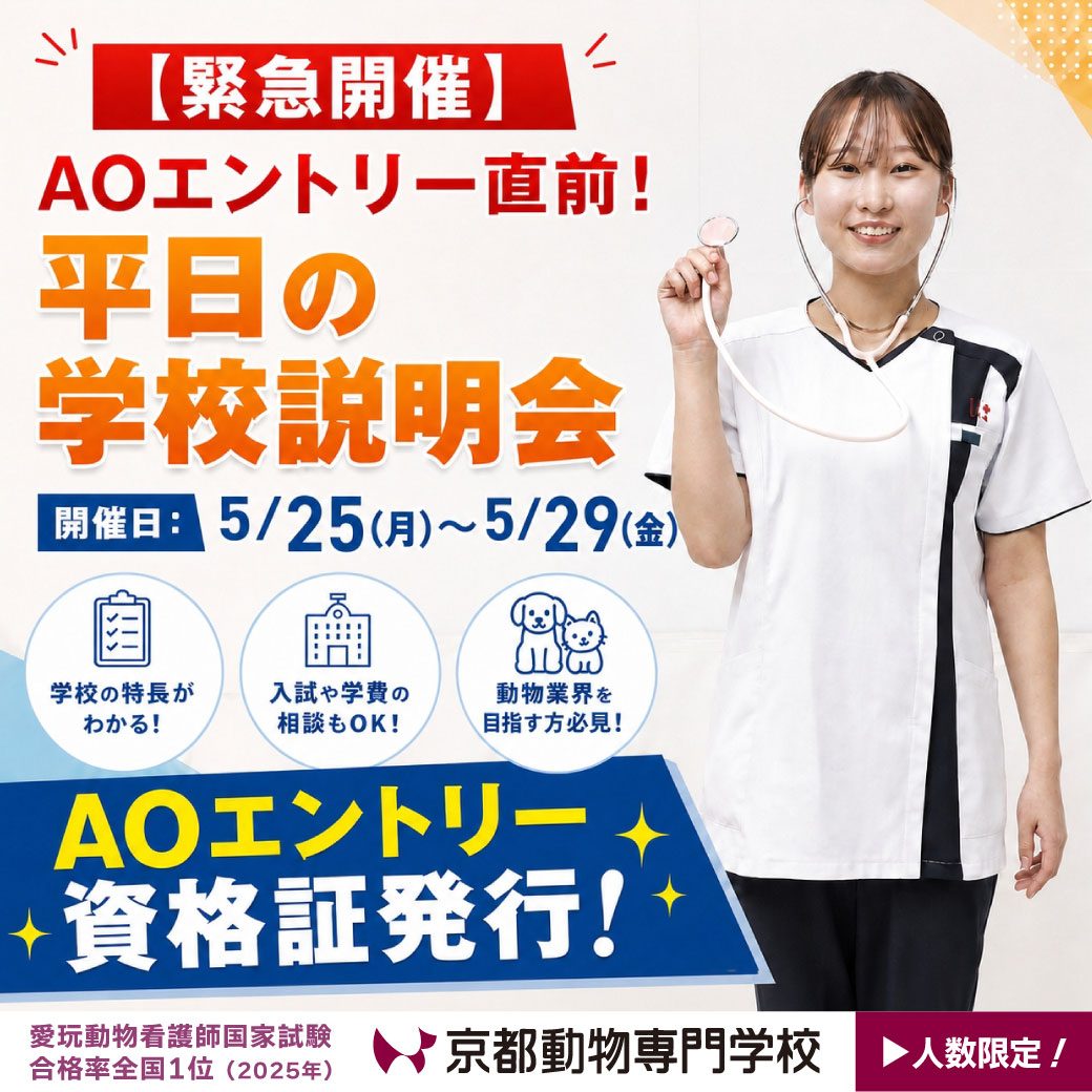 緊急開催決定！