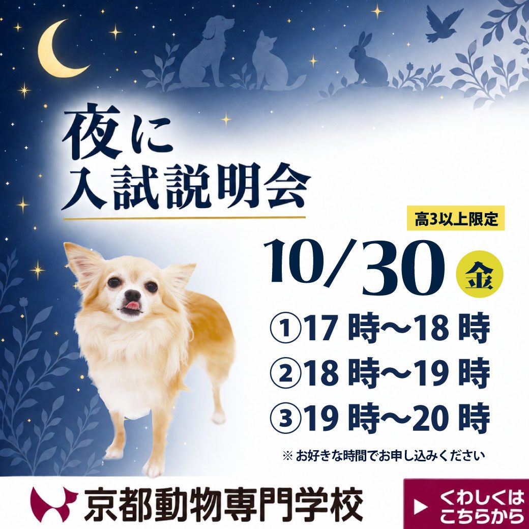 お仕事帰りでも安心。今すぐお申し込みを
