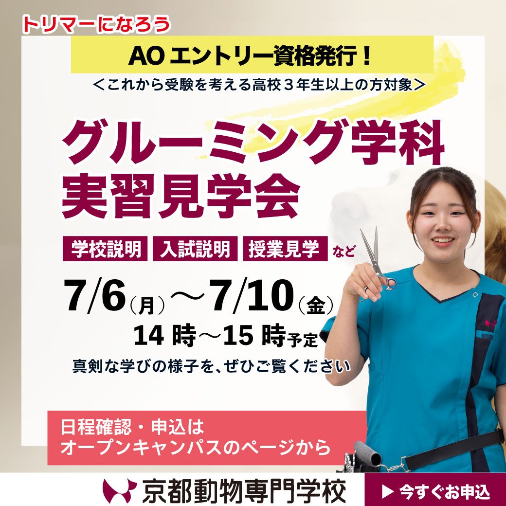 さぁ！トリマーになろう！