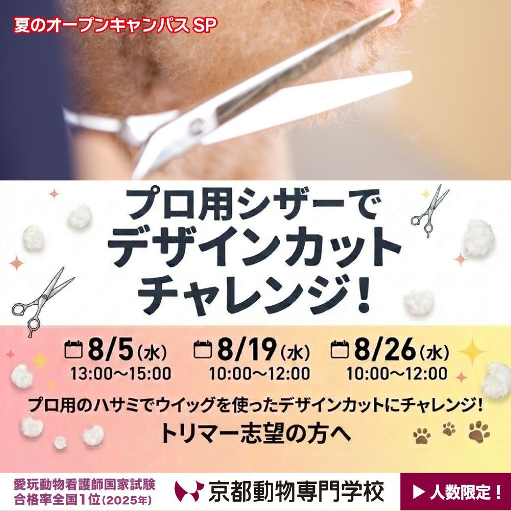 少人数限定！高3以上の方はぜひどうぞ