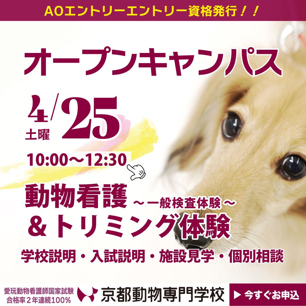 ２年連続 国家試験合格率100％