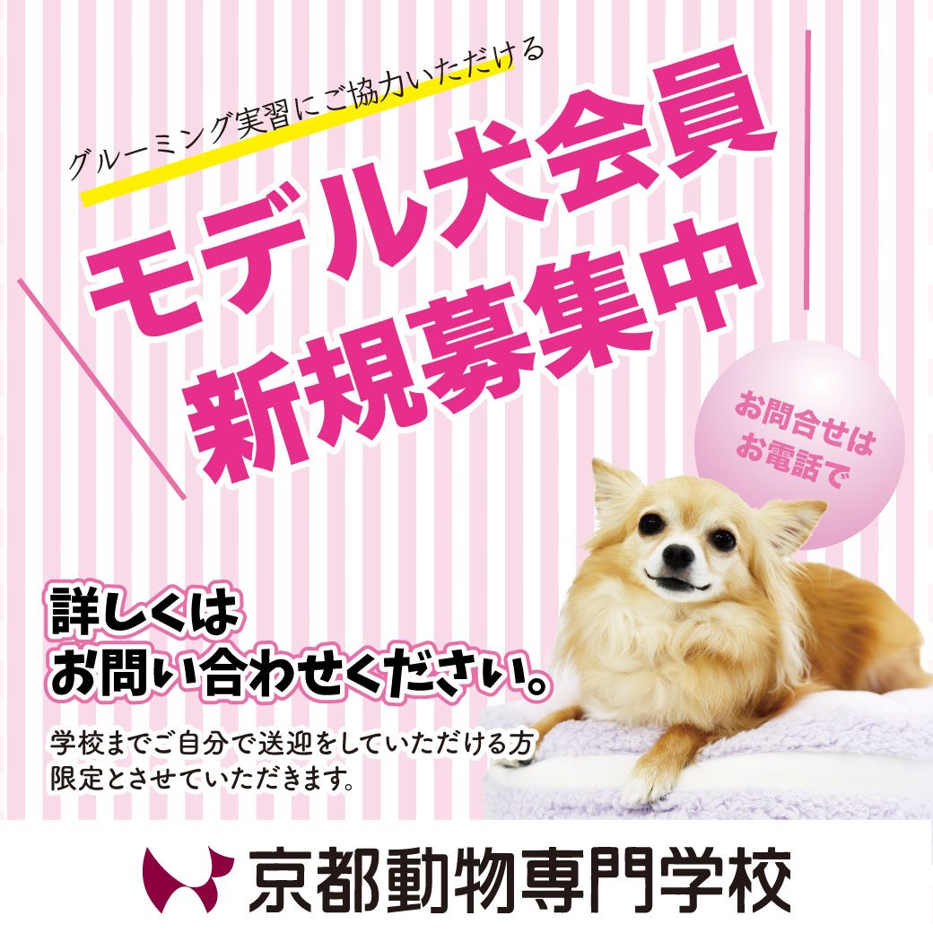 お問い合わせはお電話で