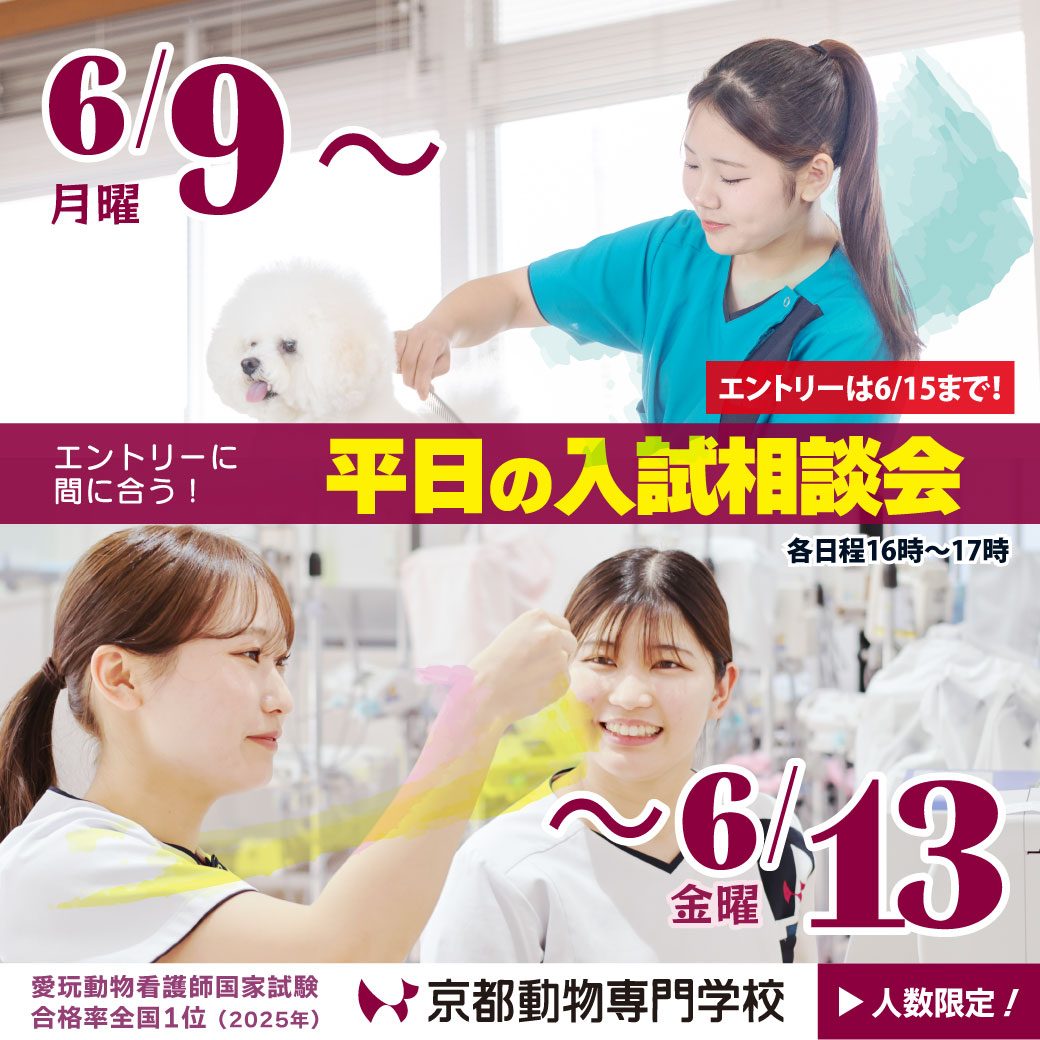 ラストチャンスかも!?ご相談ください