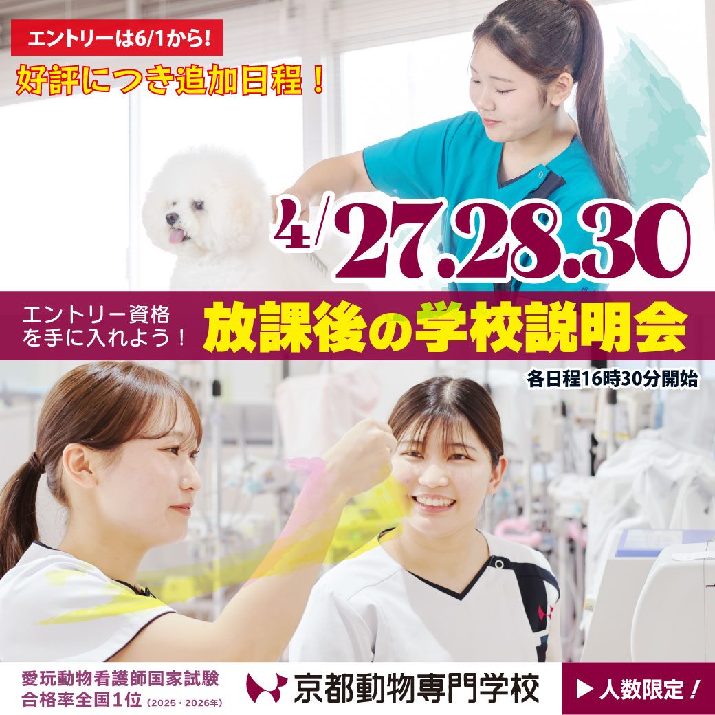 好評につき日程追加！平日の放課後もご相談ください。