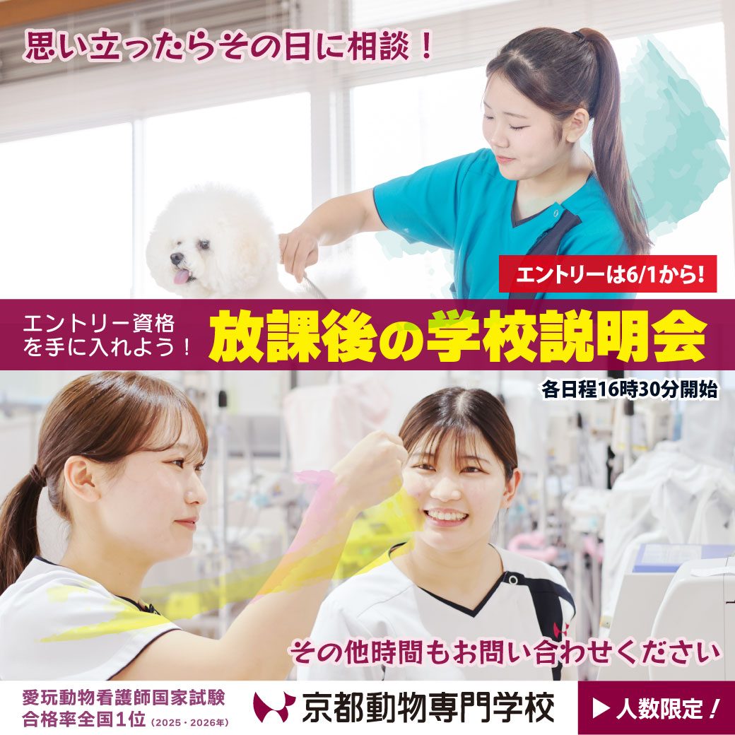 時間はご相談ください