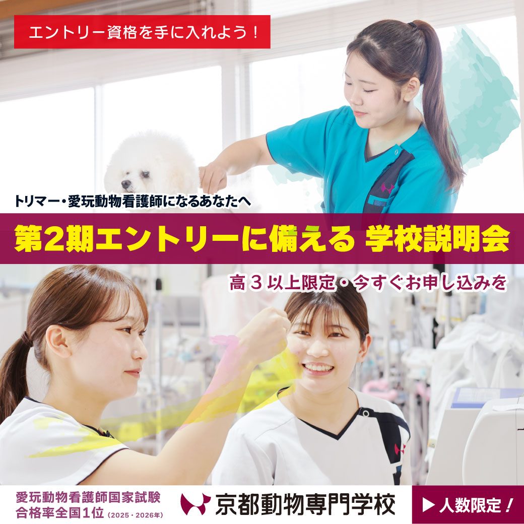今から間に合う！