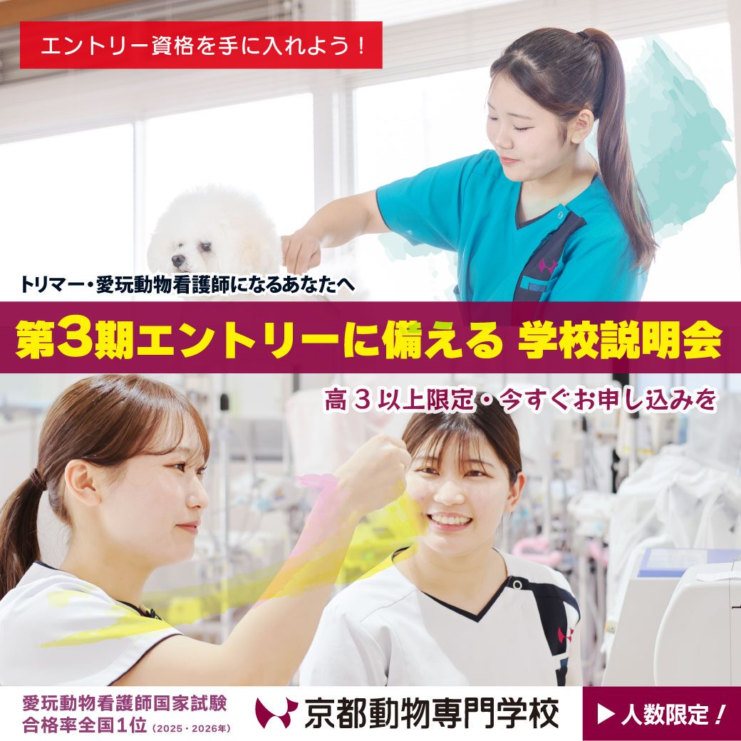 今から間に合う！