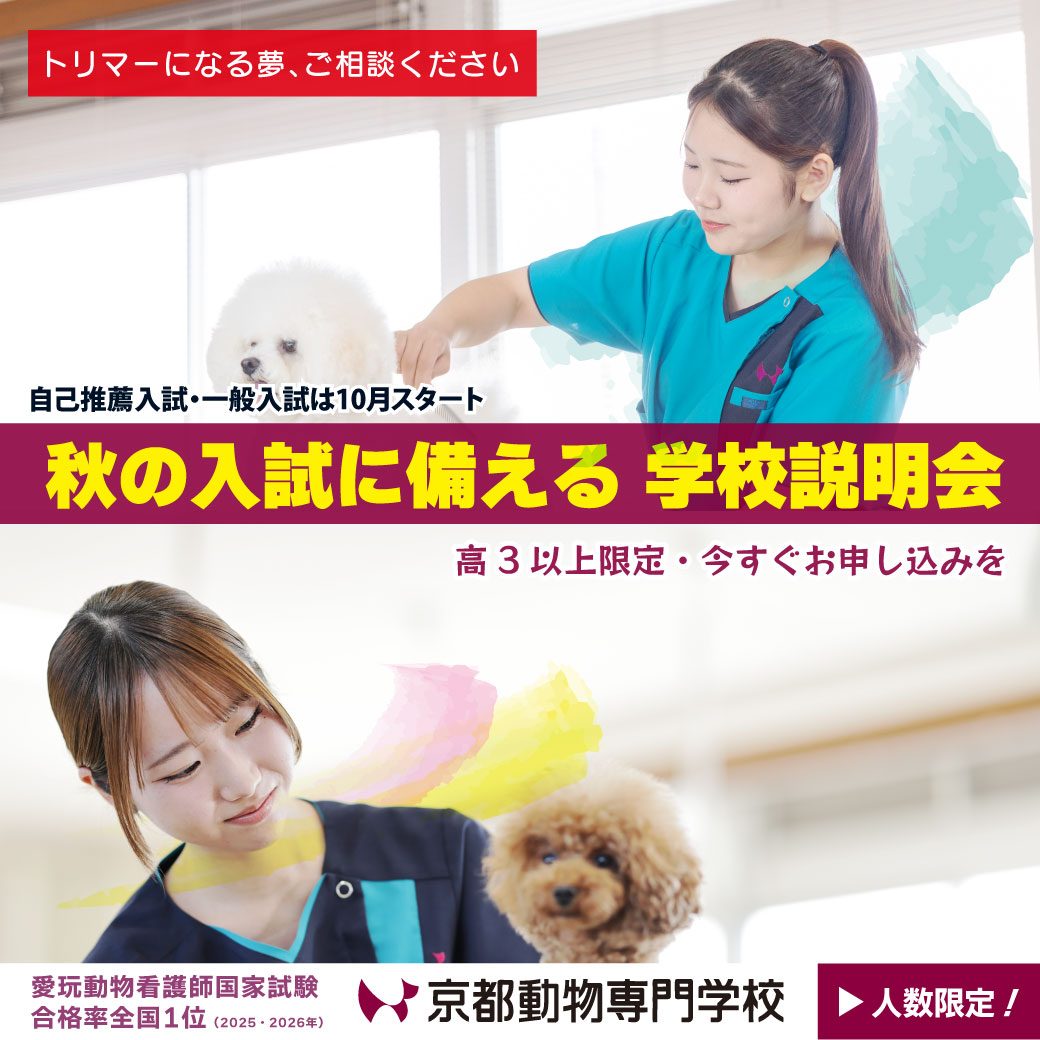 今から動き出そう