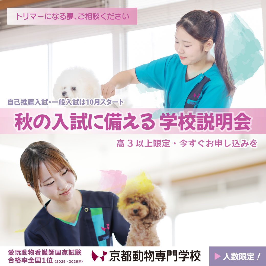 まずは早めにご相談ください