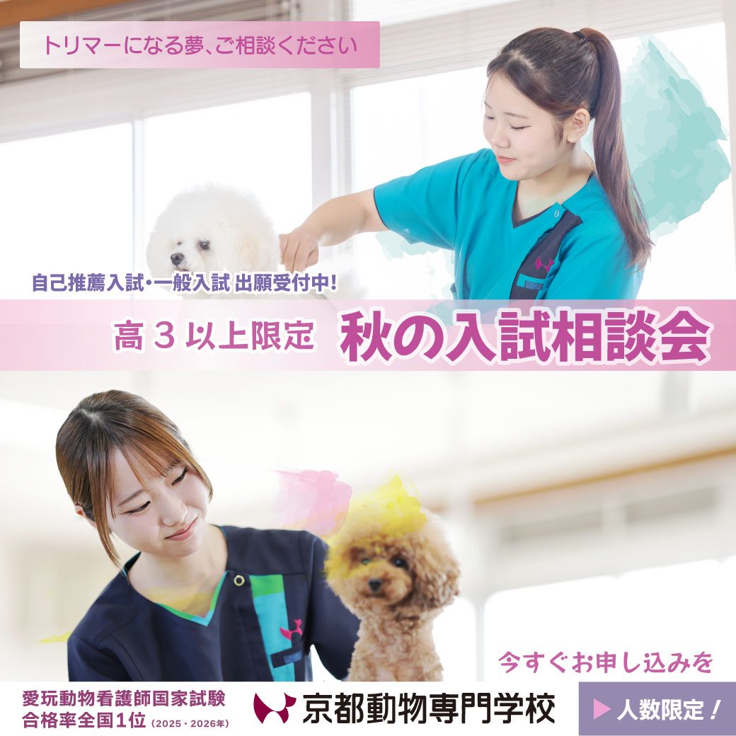 まずは早めにご相談ください