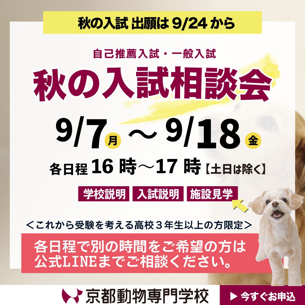 まずは早めにご相談ください