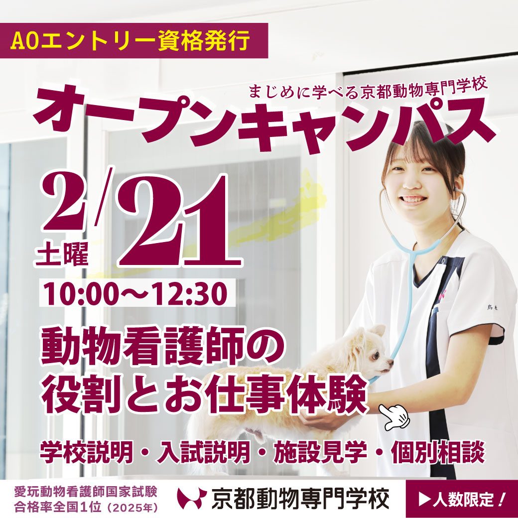 高校2年生のためのオーキャン開催！