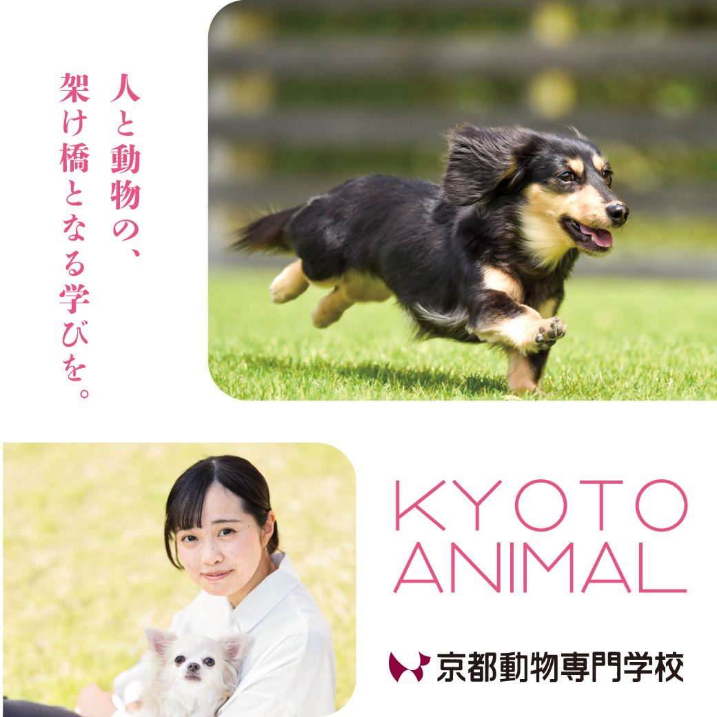 まずは資料請求から