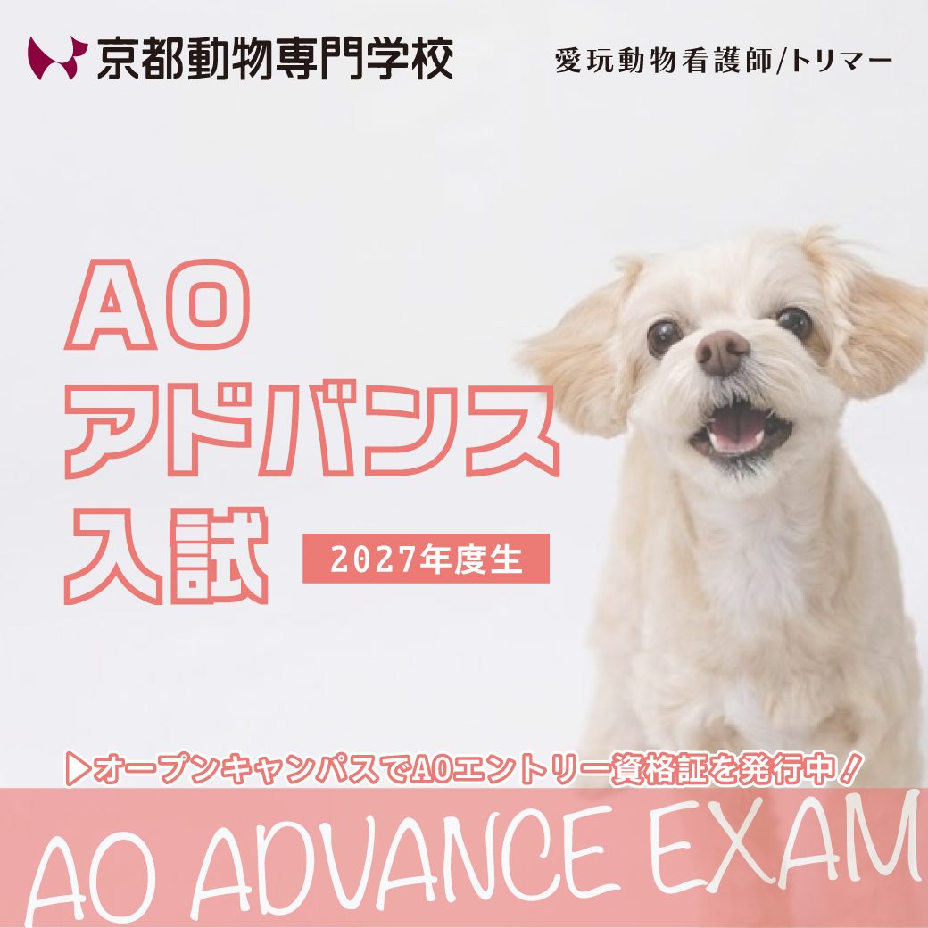 エントリー資格発行中！まずはオーキャンへ