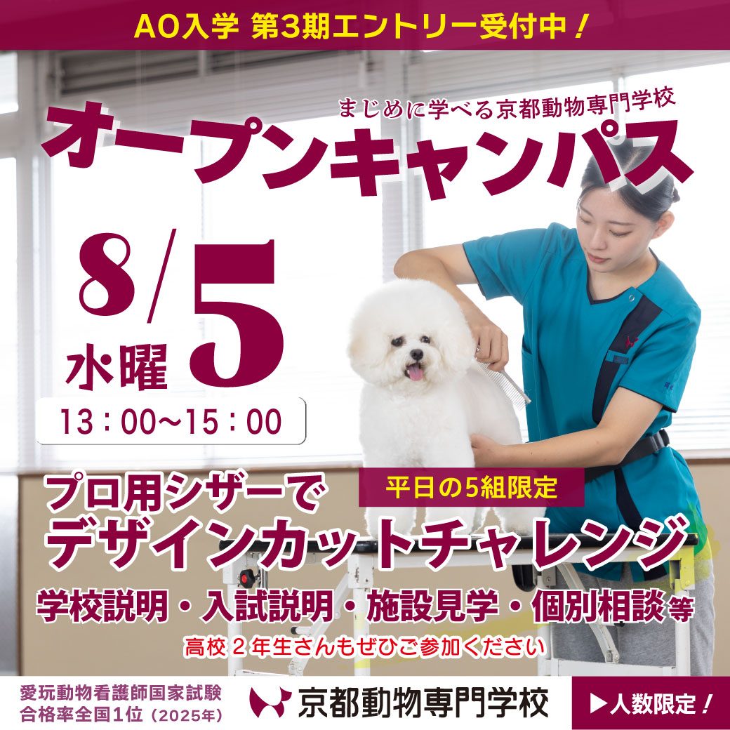残席わずか！5組限定です！