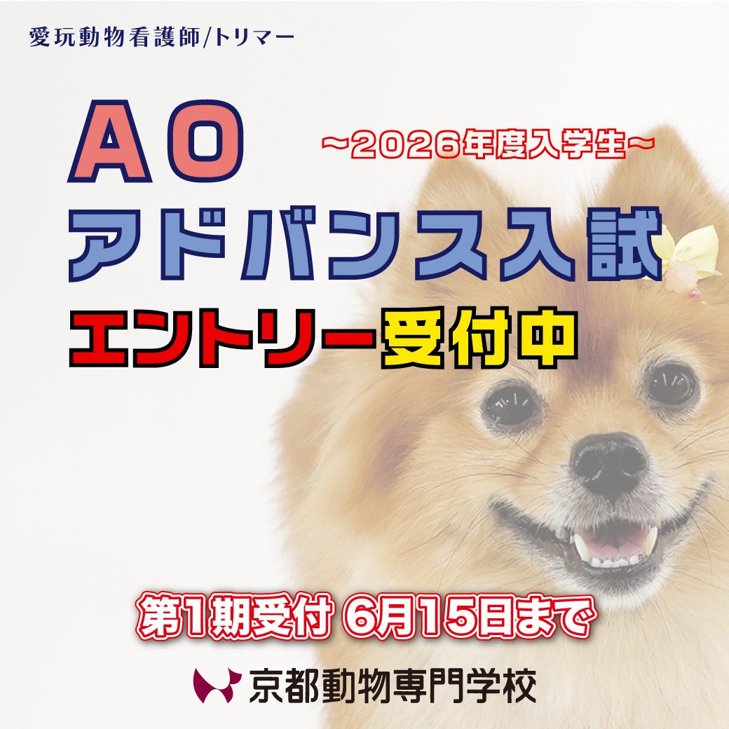 急ぎご相談ください！