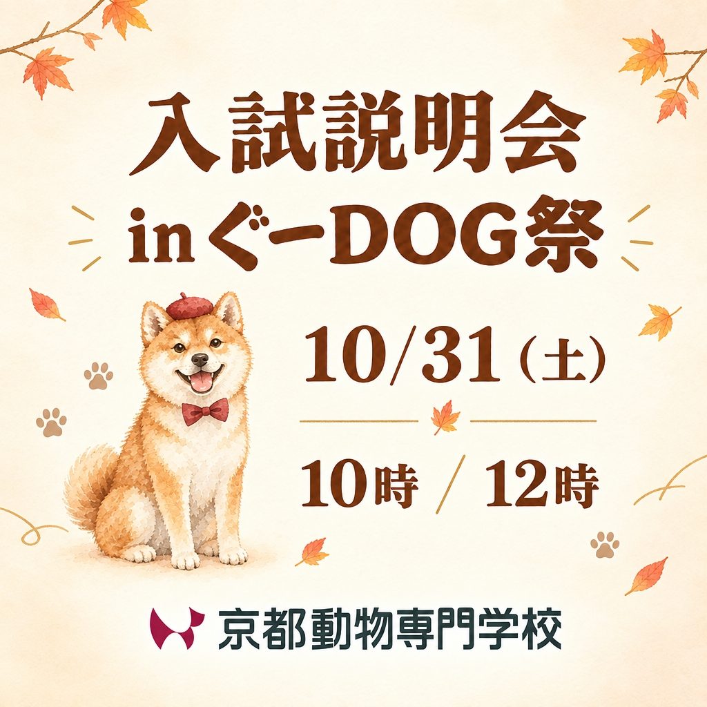 遊びに来たついでにお話しを聞いて帰ってね！