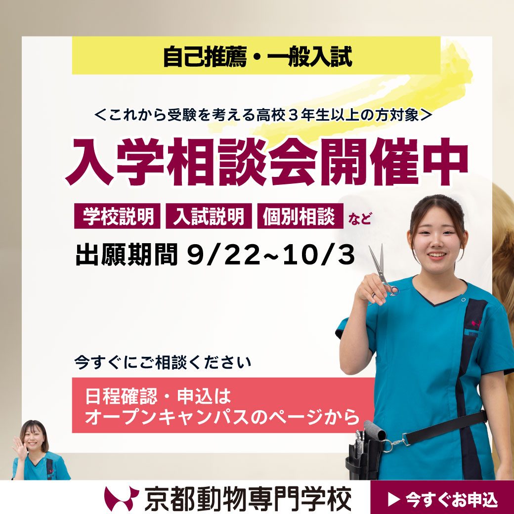トリマーを目指すなら今すぐご相談ください