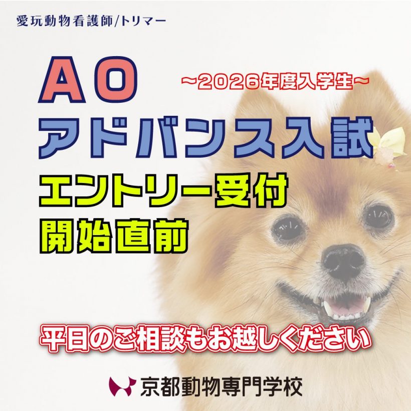 AOエントリーは第1期にしよう！