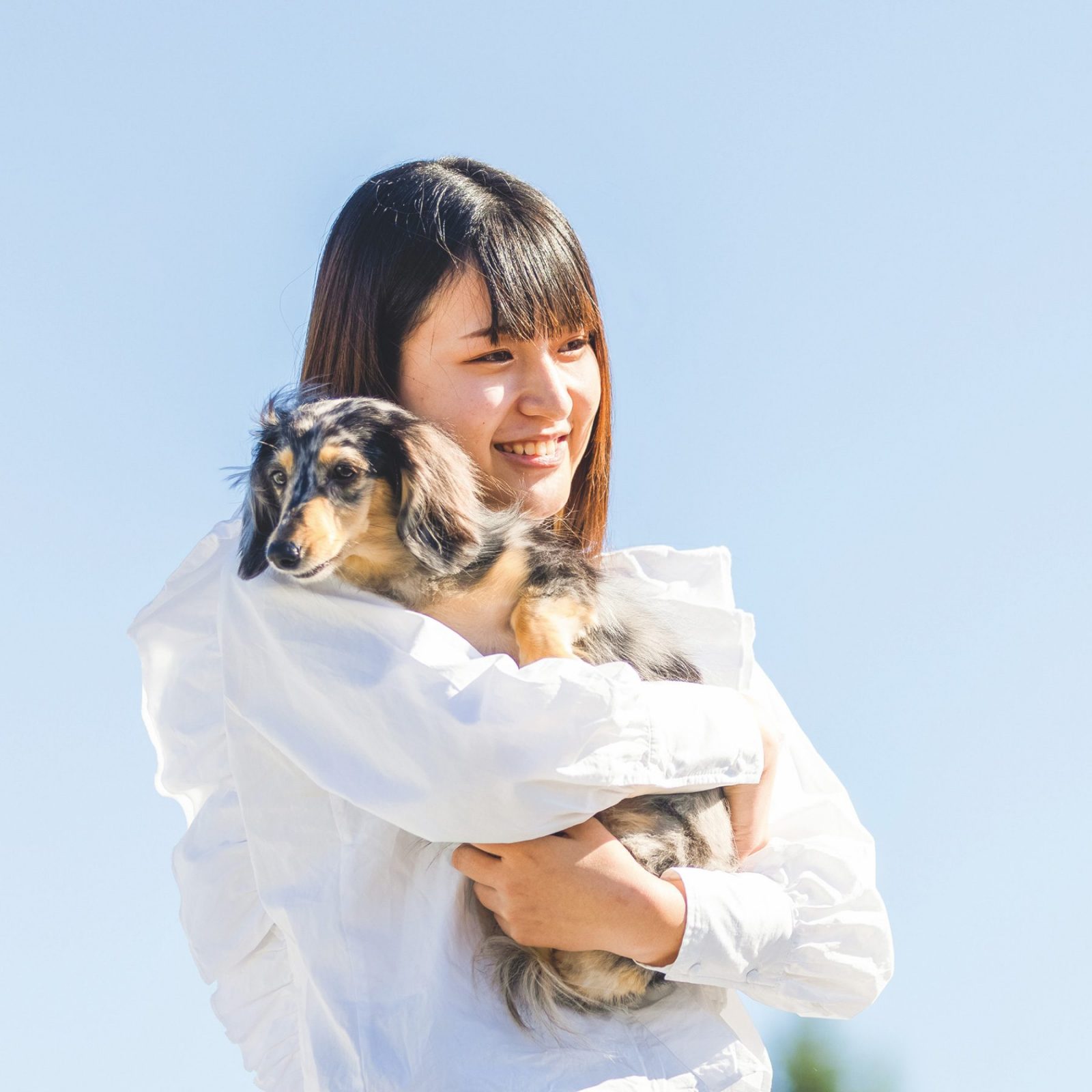 京都動物専門学校