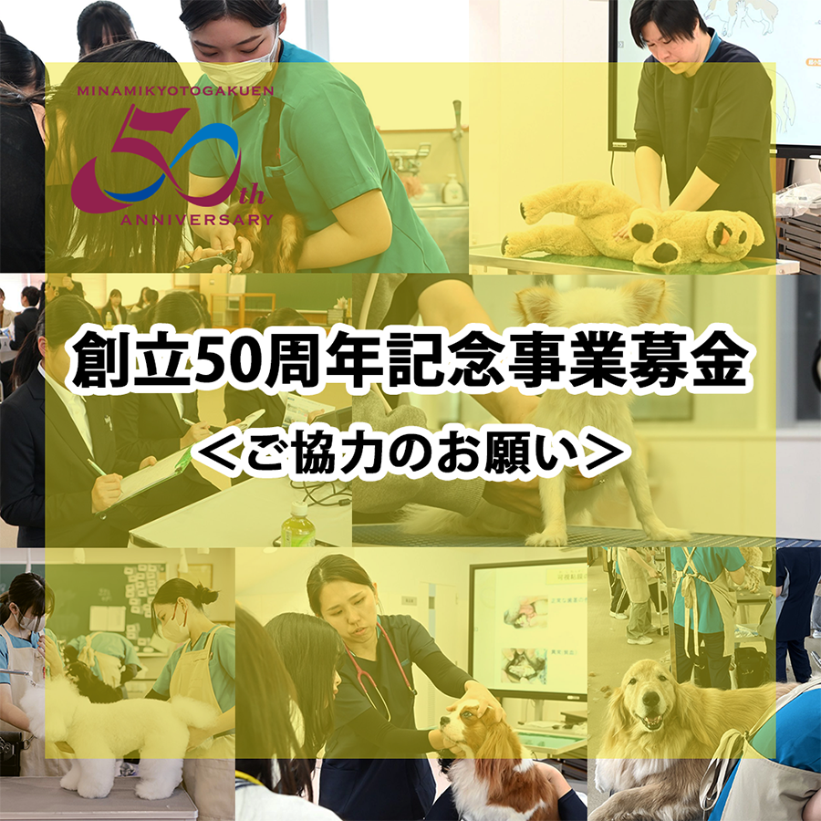 動物と人が共に生きる社会へ ― 50周年の感謝とご支援のお願い
