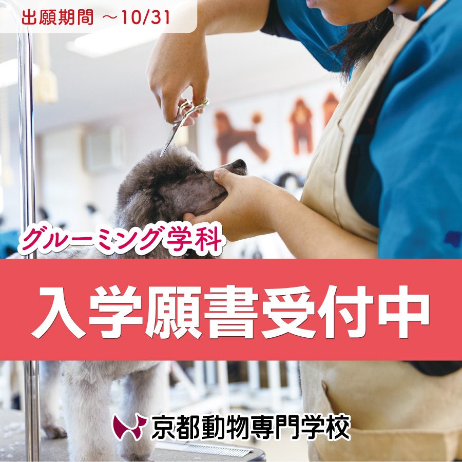 相談受付中です