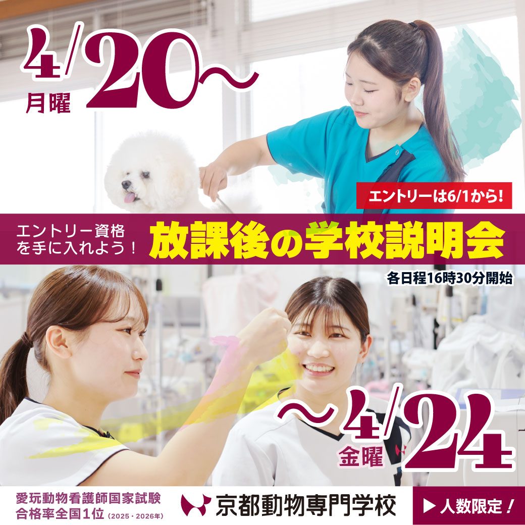 平日の放課後、ご相談ください。